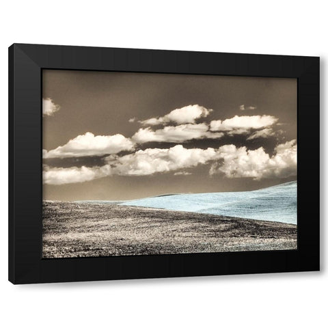 USA-Washington State-Palouse-Crops growing on the rolling hills of the Palouse Black Modern Wood Framed Art Print by Eggers, Terry