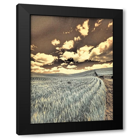 USA-Washington State-Palouse-Crops growing on the rolling hills of the Palouse Black Modern Wood Framed Art Print with Double Matting by Eggers, Terry