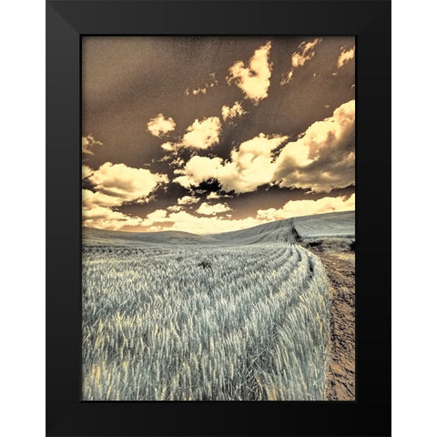 USA-Washington State-Palouse-Crops growing on the rolling hills of the Palouse Black Modern Wood Framed Art Print by Eggers, Terry