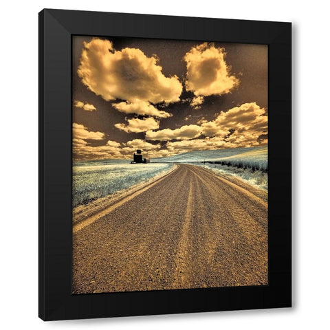 USA-Washington State-Palouse-Country backroad through spring crops Black Modern Wood Framed Art Print by Eggers, Terry