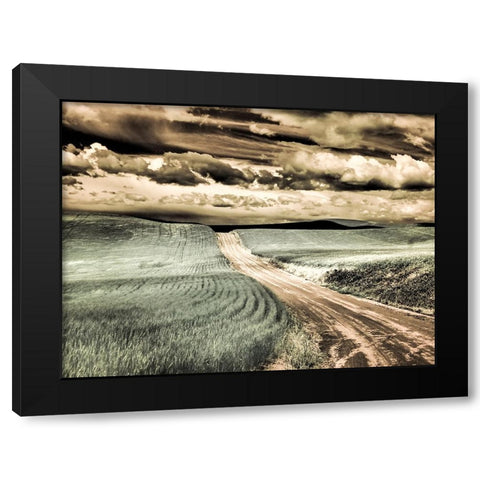 USA-Washington State-Palouse-Country backroad through spring crops Black Modern Wood Framed Art Print with Double Matting by Eggers, Terry