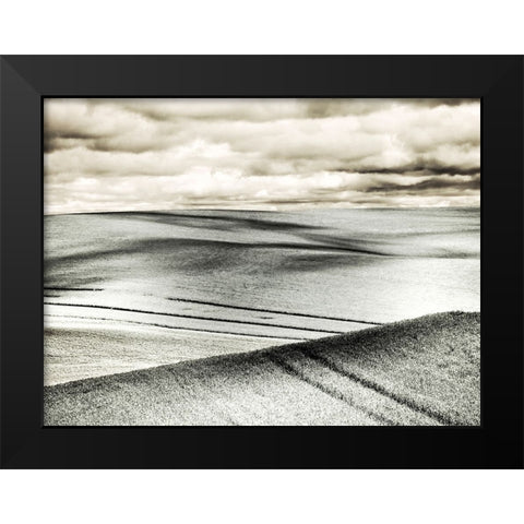 USA-Washington State-Palouse-Crops growing on the rolling hills of the Palouse Black Modern Wood Framed Art Print by Eggers, Terry