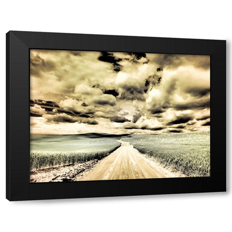 USA-Washington State-Palouse-Country backroad through spring crops Black Modern Wood Framed Art Print with Double Matting by Eggers, Terry
