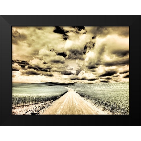 USA-Washington State-Palouse-Country backroad through spring crops Black Modern Wood Framed Art Print by Eggers, Terry