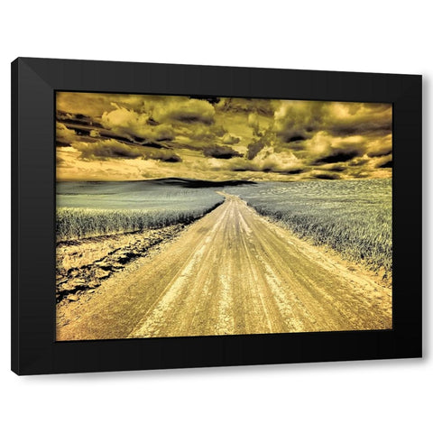 USA-Washington State-Palouse-Country backroad through spring crops Black Modern Wood Framed Art Print with Double Matting by Eggers, Terry