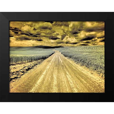 USA-Washington State-Palouse-Country backroad through spring crops Black Modern Wood Framed Art Print by Eggers, Terry
