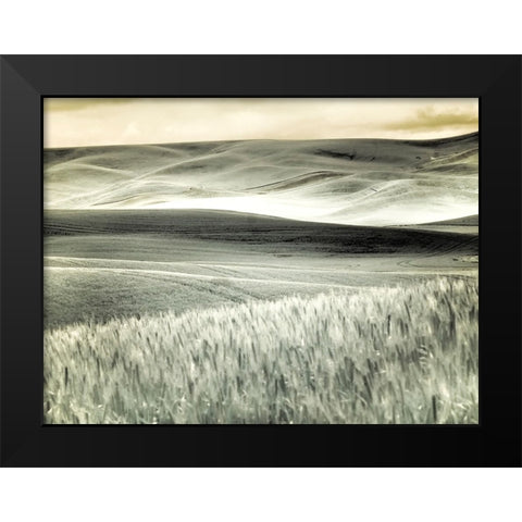 USA-Washington State-Palouse-Crops growing on the rolling hills of the Palouse Black Modern Wood Framed Art Print by Eggers, Terry