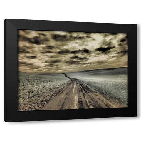 USA-Washington State-Palouse-Country backroad through spring crops Black Modern Wood Framed Art Print by Eggers, Terry