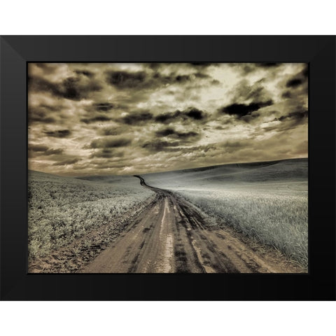 USA-Washington State-Palouse-Country backroad through spring crops Black Modern Wood Framed Art Print by Eggers, Terry