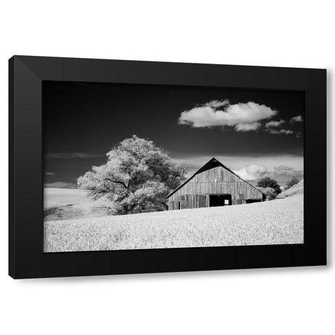 USA-Palouse Country-Washington State-Infrared Palouse fields and barn Black Modern Wood Framed Art Print with Double Matting by Eggers, Terry