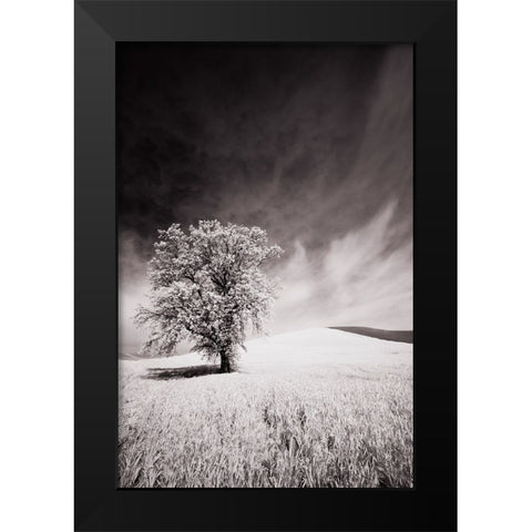 USA-Palouse Country-Infrared Palouse fields and lone tree Black Modern Wood Framed Art Print by Eggers, Terry