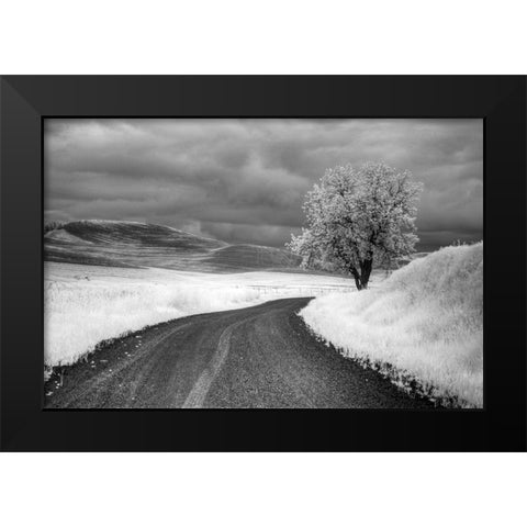 USA-Infrared Palouse fields-Backroad and Tree Black Modern Wood Framed Art Print by Eggers, Terry