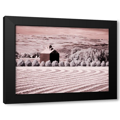 USA-Washington State-Palouse-Harvest lies in field with barn Black Modern Wood Framed Art Print with Double Matting by Eggers, Terry