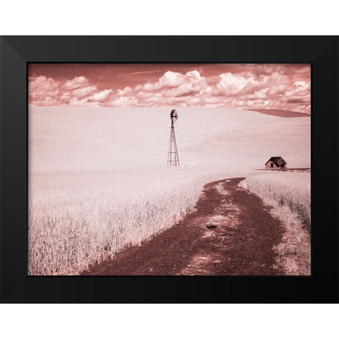 USA-Washington State-Palouse-Backroad through wheat field Black Modern Wood Framed Art Print by Eggers, Terry