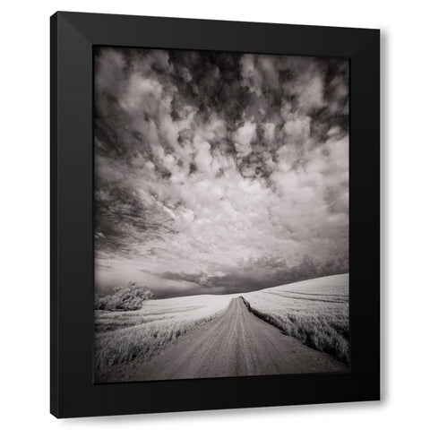 USA-Washington State-Palouse-Backcountry road through wheat field and clouds Black Modern Wood Framed Art Print with Double Matting by Eggers, Terry