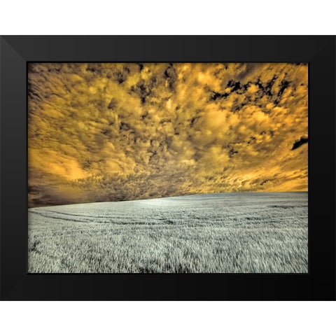 USA-Washington State-Palouse-wheat field and clouds Black Modern Wood Framed Art Print by Eggers, Terry