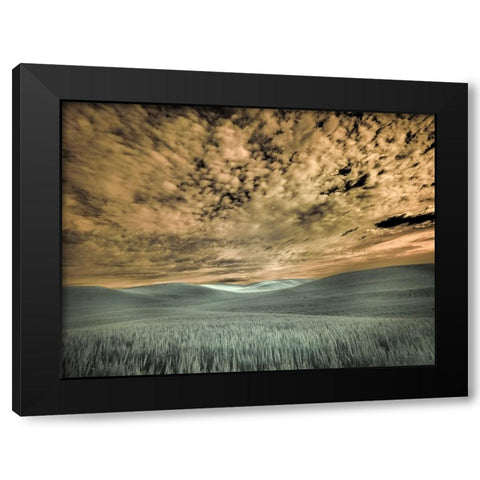 USA-Washington State-Palouse-wheat field and clouds Black Modern Wood Framed Art Print by Eggers, Terry