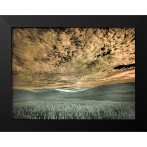 USA-Washington State-Palouse-wheat field and clouds Black Modern Wood Framed Art Print by Eggers, Terry