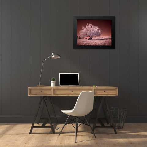 USA-Washington State-Palouse region-Lone tree in Field Black Modern Wood Framed Art Print by Eggers, Terry