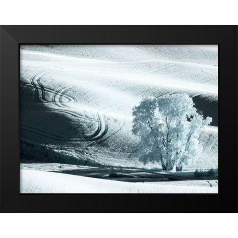 USA-Washington State-Palouse region-Lone tree in Field Black Modern Wood Framed Art Print by Eggers, Terry