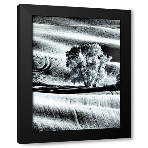 USA-Washington State-Palouse region-Lone tree in Field Black Modern Wood Framed Art Print by Eggers, Terry