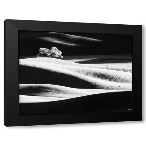 USA-Washington State-Palouse region-Lone tree in Field Black Modern Wood Framed Art Print by Eggers, Terry