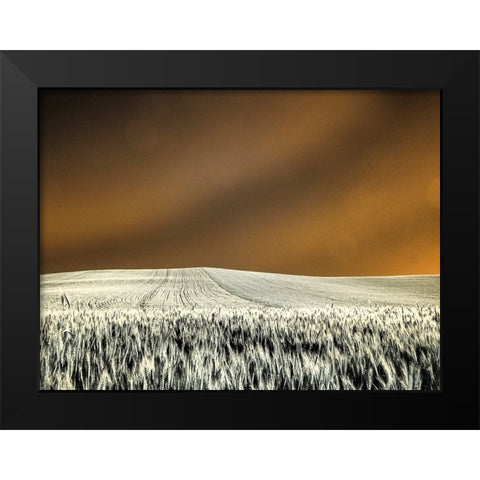 USA-Washington State-Palouse region-Rolling Hills of wheat Black Modern Wood Framed Art Print by Eggers, Terry