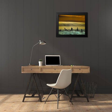 USA-Washington State-Palouse region-Fence and field of wheat Black Modern Wood Framed Art Print by Eggers, Terry