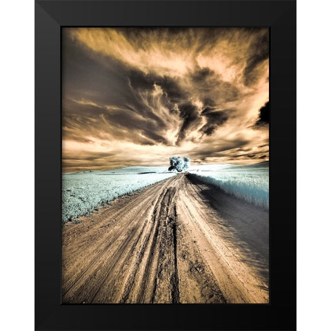 USA-Washington State-Palouse region-Backcountry road leading to Lone Tree Black Modern Wood Framed Art Print by Eggers, Terry