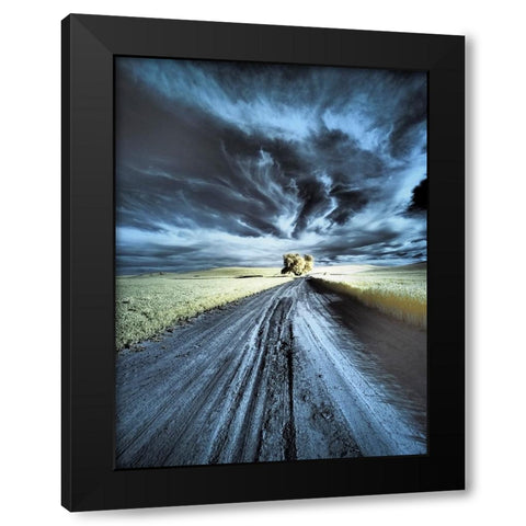 USA-Washington State-Palouse region-Backcountry road leading to Lone Tree Black Modern Wood Framed Art Print by Eggers, Terry