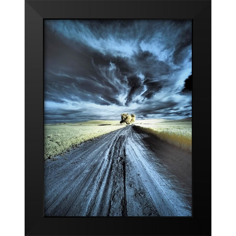 USA-Washington State-Palouse region-Backcountry road leading to Lone Tree Black Modern Wood Framed Art Print by Eggers, Terry