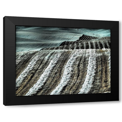 USA-Washington State-Palouse region-Harvest cut lines in Field Black Modern Wood Framed Art Print by Eggers, Terry