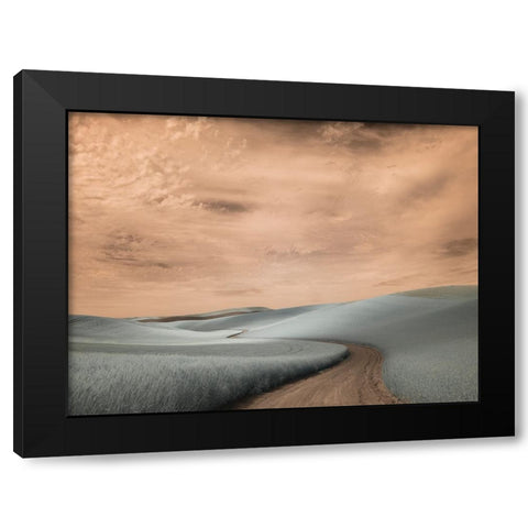 USA-Washington State-Palouse region-winding backcountry road through wheat fields Black Modern Wood Framed Art Print by Eggers, Terry