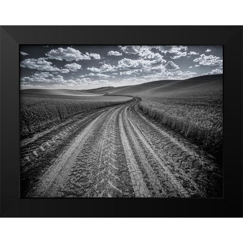 USA-Washington State-Palouse-Country backroad through spring crops Black Modern Wood Framed Art Print by Eggers, Terry