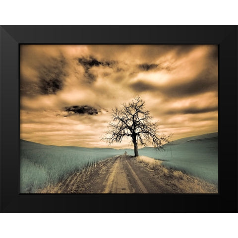 USA-Washington State-Palouse Infrared of lone tree along side country road Black Modern Wood Framed Art Print by Eggers, Terry