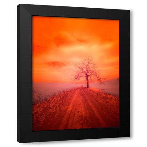 USA-Washington State-Palouse Infrared of lone tree along side country road Black Modern Wood Framed Art Print by Eggers, Terry
