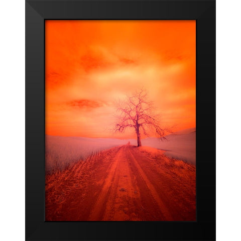 USA-Washington State-Palouse Infrared of lone tree along side country road Black Modern Wood Framed Art Print by Eggers, Terry