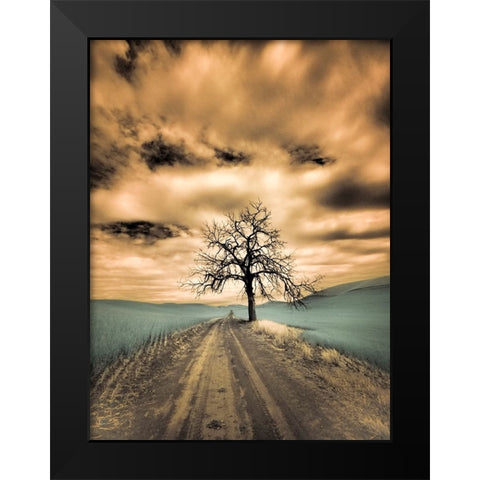 USA-Washington State-Palouse Infrared of lone tree along side country road Black Modern Wood Framed Art Print by Eggers, Terry