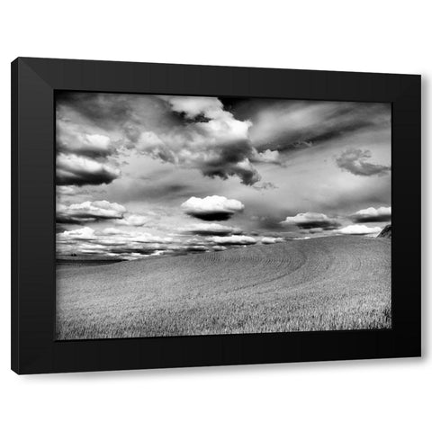 USA-Washington State-Palouse Infrared of rolling hills of crops and clouds Black Modern Wood Framed Art Print by Eggers, Terry