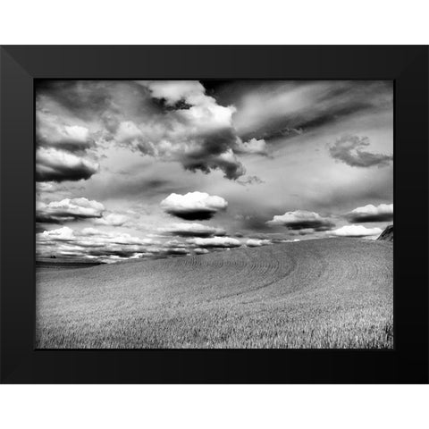 USA-Washington State-Palouse Infrared of rolling hills of crops and clouds Black Modern Wood Framed Art Print by Eggers, Terry