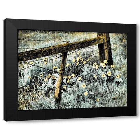USA-Washington State Infrared capture of fence line and wildflowers Black Modern Wood Framed Art Print with Double Matting by Eggers, Terry