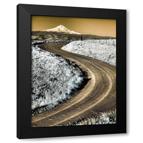 USA-Washington State Infrared capture of road running though wildflowers with Mount Hood background Black Modern Wood Framed Art Print by Eggers, Terry