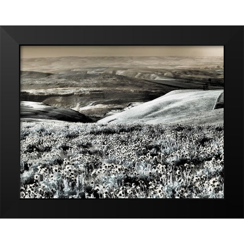 USA-Washington State Infrared capture Spring wildflowers and hills Black Modern Wood Framed Art Print by Eggers, Terry