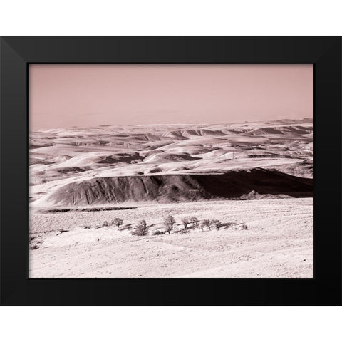 USA-Washington State Infrared capture wildflowers covering the hills along the Columbia River Black Modern Wood Framed Art Print by Eggers, Terry