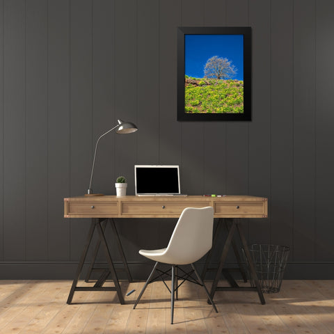 USA-Washington State Lone Tree on hillside with spring wildflowers Black Modern Wood Framed Art Print by Eggers, Terry