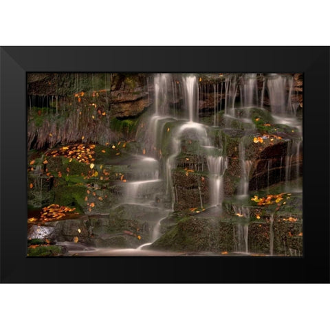 WV, Blackwater Falls Waterfall on rock face Black Modern Wood Framed Art Print by OBrien, Jay