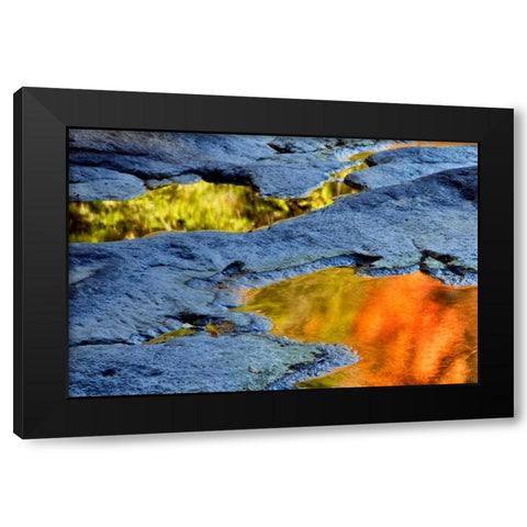 WV, Blackwater Falls SP Autumn reflections Black Modern Wood Framed Art Print with Double Matting by OBrien, Jay