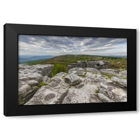 WV, Landscape in Dolly Sods Wilderness Area Black Modern Wood Framed Art Print with Double Matting by OBrien, Jay