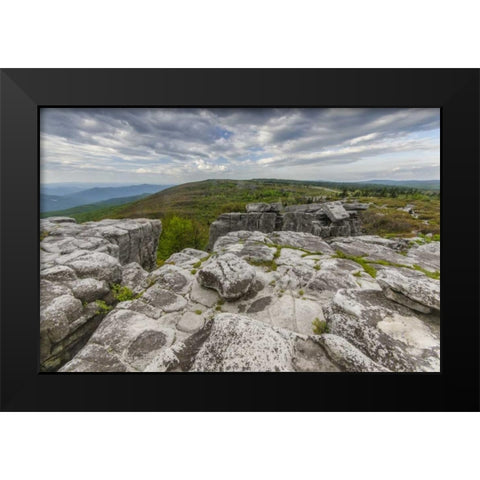 WV, Landscape in Dolly Sods Wilderness Area Black Modern Wood Framed Art Print by OBrien, Jay