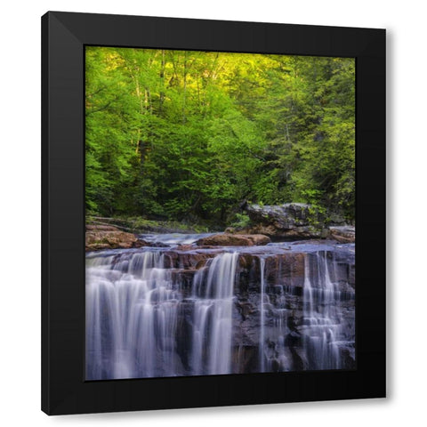 West Virginia, Davis, Blackwater Falls The falls Black Modern Wood Framed Art Print by OBrien, Jay
